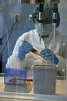 A forensic expert analysing DNA in a laboratory.