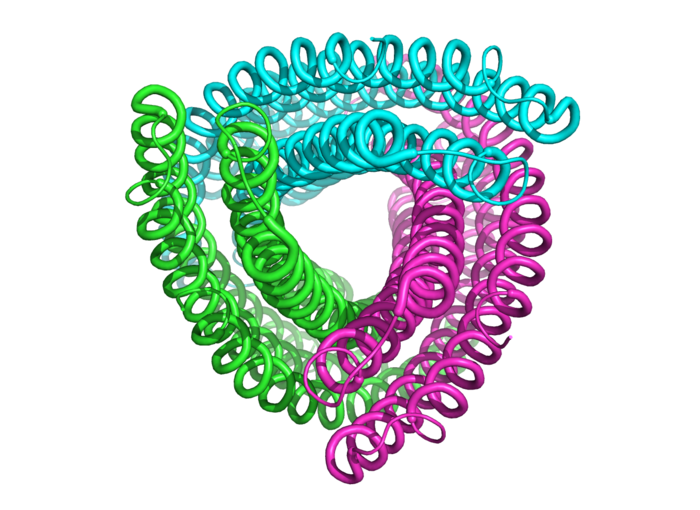 Rendering eines designten Proteins: Grüne, pinke und türkise Spiralen winden sich ineinander.