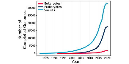 A graph with "Number of Completed Genomes" from 0 to 30.000 on the Y- and "Year" from 1985 until 2020 on the X-axis. A blue line shows viruses, a dark blue line prokaryotes and a pink line eukaryotes. The blue linke starts at 0 and before 1985 and ends at 30.000 and 2020. The dark blue line starts at approximatly 0 and 2000 and ends at 15.000 and 2020. The pink line starts just after 1990 ans 0 and ends at just above 0 and 2020.