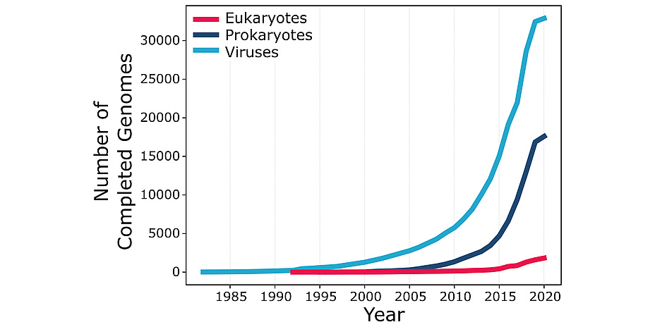 A graph with "Number of Completed Genomes" from 0 to 30.000 on the Y- and "Year" from 1985 until 2020 on the X-axis. A blue line shows viruses, a dark blue line prokaryotes and a pink line eukaryotes. The blue linke starts at 0 and before 1985 and ends at 30.000 and 2020. The dark blue line starts at approximatly 0 and 2000 and ends at 15.000 and 2020. The pink line starts just after 1990 ans 0 and ends at just above 0 and 2020.