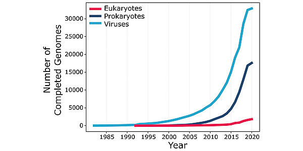 A graph with "Number of Completed Genomes" from 0 to 30.000 on the Y- and "Year" from 1985 until 2020 on the X-axis. A blue line shows viruses, a dark blue line prokaryotes and a pink line eukaryotes. The blue linke starts at 0 and before 1985 and ends at 30.000 and 2020. The dark blue line starts at approximatly 0 and 2000 and ends at 15.000 and 2020. The pink line starts just after 1990 ans 0 and ends at just above 0 and 2020.