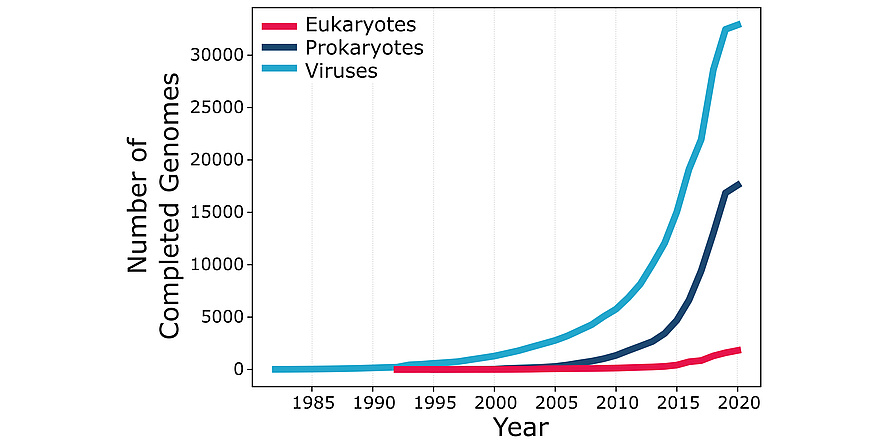 A graph with "Number of Completed Genomes" from 0 to 30.000 on the Y- and "Year" from 1985 until 2020 on the X-axis. A blue line shows viruses, a dark blue line prokaryotes and a pink line eukaryotes. The blue linke starts at 0 and before 1985 and ends at 30.000 and 2020. The dark blue line starts at approximatly 0 and 2000 and ends at 15.000 and 2020. The pink line starts just after 1990 ans 0 and ends at just above 0 and 2020.