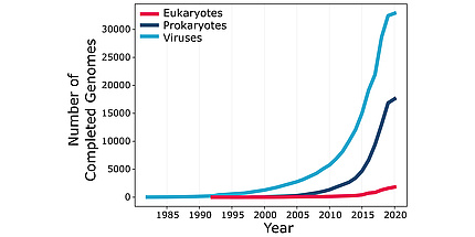 A graph with "Number of Completed Genomes" from 0 to 30.000 on the Y- and "Year" from 1985 until 2020 on the X-axis. A blue line shows viruses, a dark blue line prokaryotes and a pink line eukaryotes. The blue linke starts at 0 and before 1985 and ends at 30.000 and 2020. The dark blue line starts at approximatly 0 and 2000 and ends at 15.000 and 2020. The pink line starts just after 1990 ans 0 and ends at just above 0 and 2020.