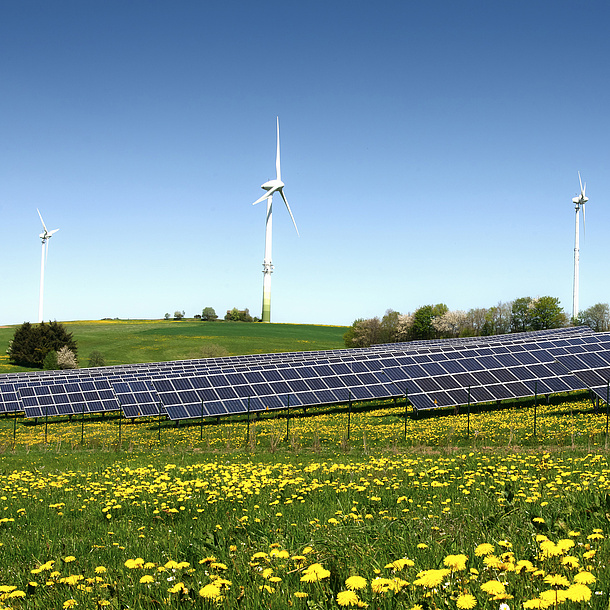 Auf einer Wiese stehen Windräder und eine Solaranlage.