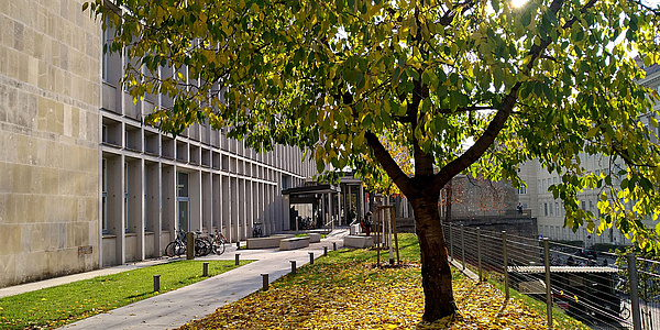 Eingang der Fachbibliothek NAWI mit Baum und Herbstlaub