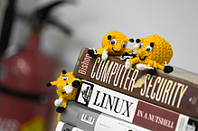 Detail of computer literature with yellow crocheted beetles.