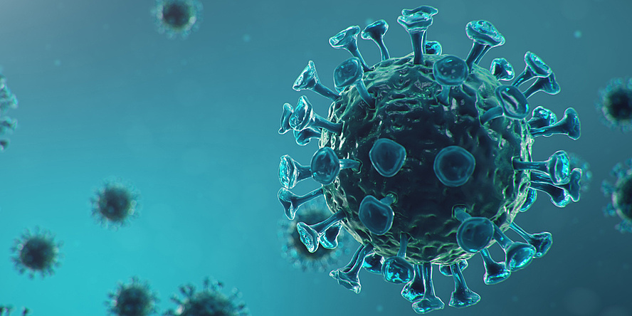 A pictorial representation of the coronavirus.