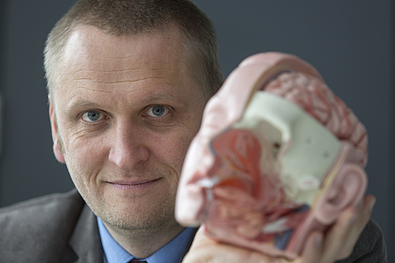 Portraifoto von Gernot Müller-Putz mit dem Modell eines Schädels