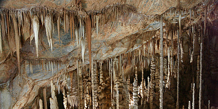 Tropfsteine in der Fantasiehalle im steirischen Katerloch