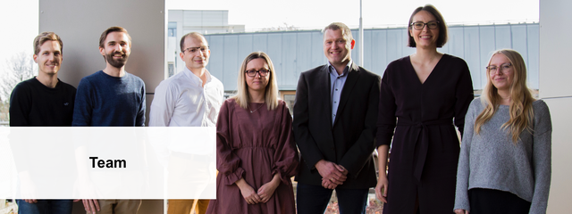 Team of the IEE.