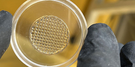A small Petri dish is clamped between two fingers, in which a cross-linked pattern consisting of a gel can be seen.