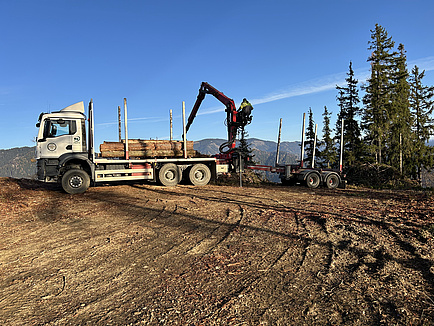 A lorry is standing in a clearing, a worker is sitting on a crane and is loading the lorry with tree trunks.