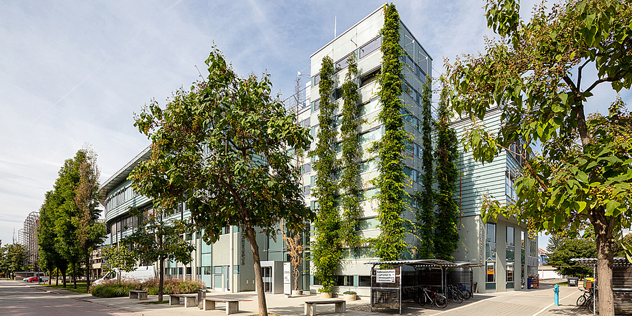 A building overgrown with creepers.