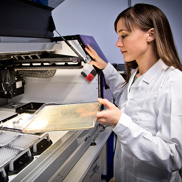 A young woman in the laboratory doing microbiological tests.