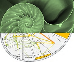 Bionik in der Logistik: Gestaltung eines Fabriklayouts in Anlehung an eine Nautilus