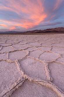 Ground surface with honeycomb-shaped elevations, behind it an evening sky.