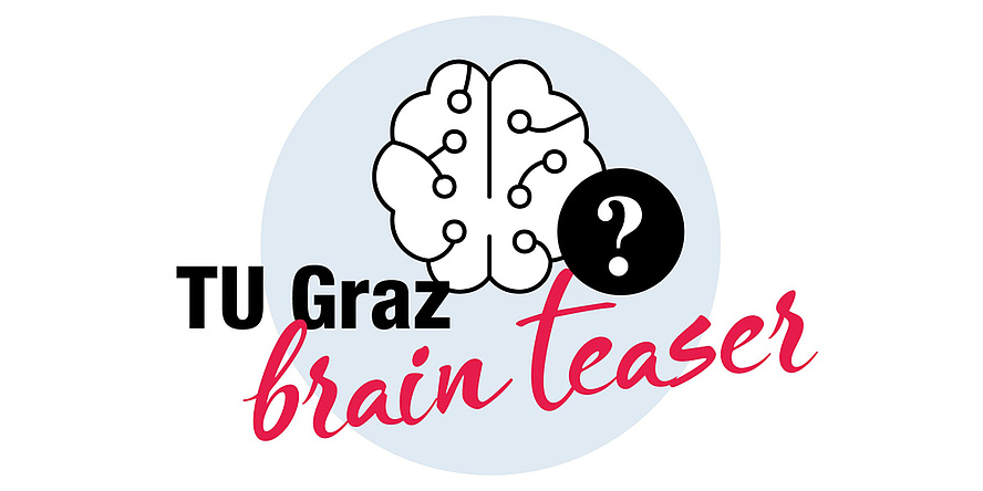 Graphic representation of a brain, with a question mark next to it. Below it is the lettering: TU Graz brain teaser