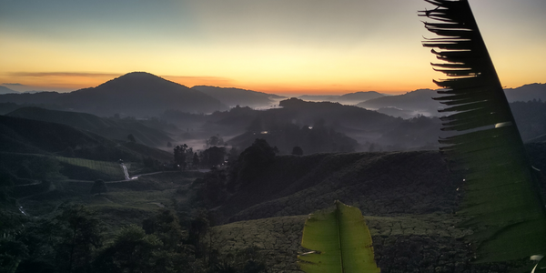 [Translate to Englisch:] 