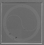 SEM picture of the sensor surface