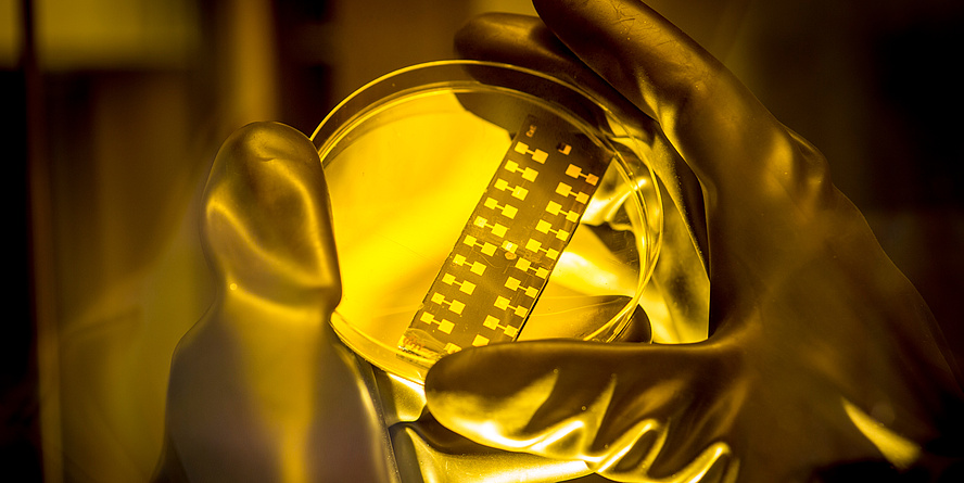 Das Licht ist gelb und strahlt auf ein Testplättchen, das von zwei Händen in Laborhandschuhen gehalten wird.