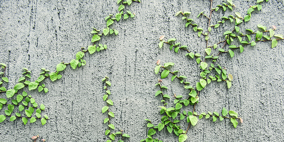 a concrete wall