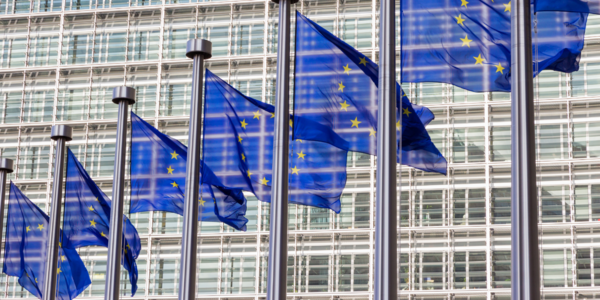 Fahnen, flags, EU, erasmus, budget 