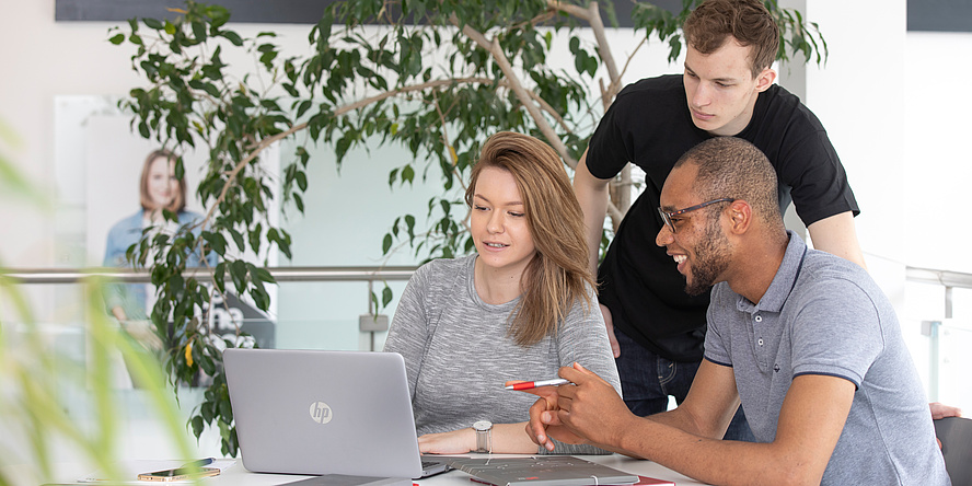 Eine Studentin und zwei Studenten arbeiten an einem Tisch gemeinsam an einem Laptop, hinter ihnen eine große Grünpflanze.