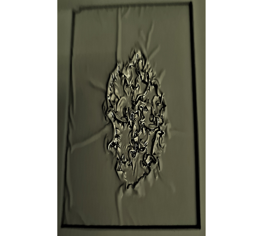 catalyst ink sprayed onto membrane 