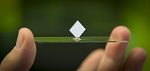 Detailed view of a battery cell on a glass slide.