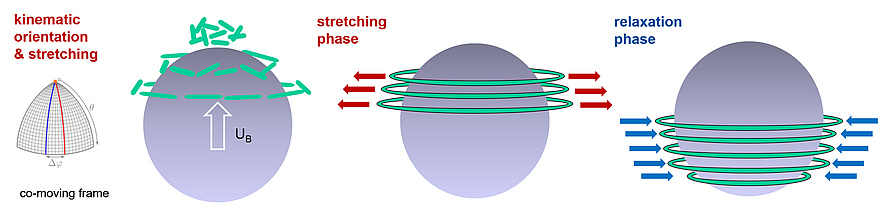 Grafische Darstellung zu Einflüssen der Polymerströmung auf das Blasenaufstiegsverhalten