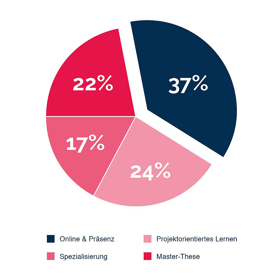 Tortendiagramm: 37% Online & Präsenz, 22% Master-These, 17% Spezialisierung, 24% Projektorientiertes Lernen