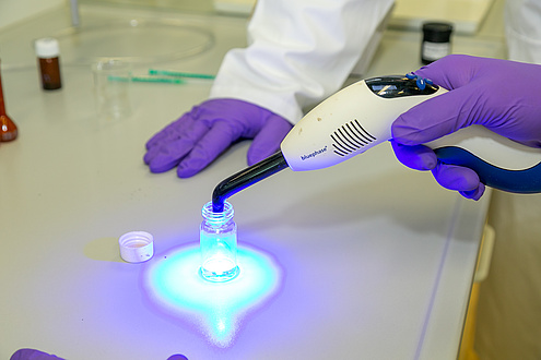 Close-up of hands in laboratory gloves with light source.