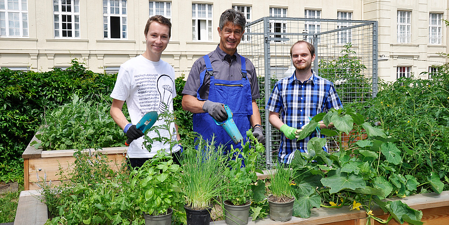 Three men are standing at the back of a raised bed holding gardening equipment.