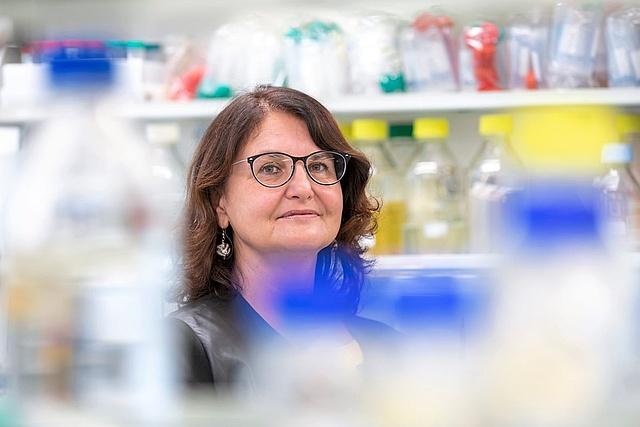 Prof. Gabriele Berg in the lab