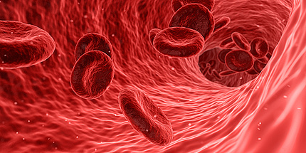Grafische Darstellung von Blutkörperchen in einem Blutgefäß