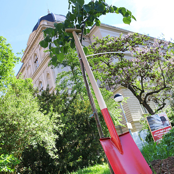 Old Technical University, photo source: Romana Winkler – TU Graz