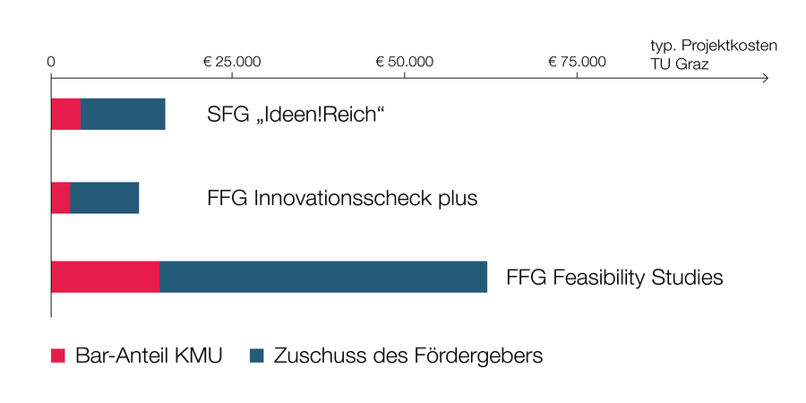 Förderprogramme mit typischen Projektkosten und Fördersummen.