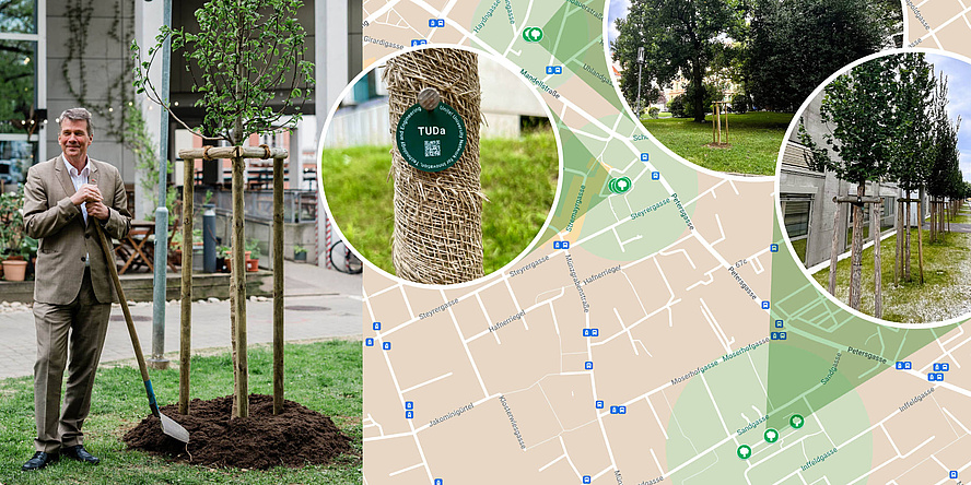 Bilder-Collage aus einem Foto von TU Graz-Rektor Horst Bischof neben einem neu gepflanzten Baum am Campus, einer Unite!-Plakette der TU Darmstadt an einem Stamm, einem weiteren Bild mit mehreren gepflanzten Unite!-Bäumen und einem Bildausschnitte der Google Karte mit den Standorten der Unite!-Bäume an der TU Graz.