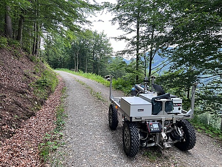 A four-wheeled robot drives along a forest path.