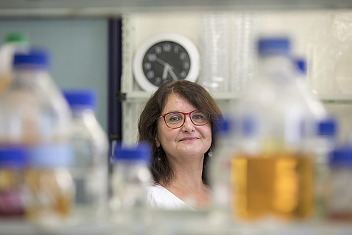 A lady with glasses is seen behind a shelf with laboratory utensils.