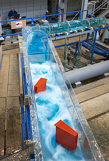 Blue water flowing through a glass channel with red blocks.