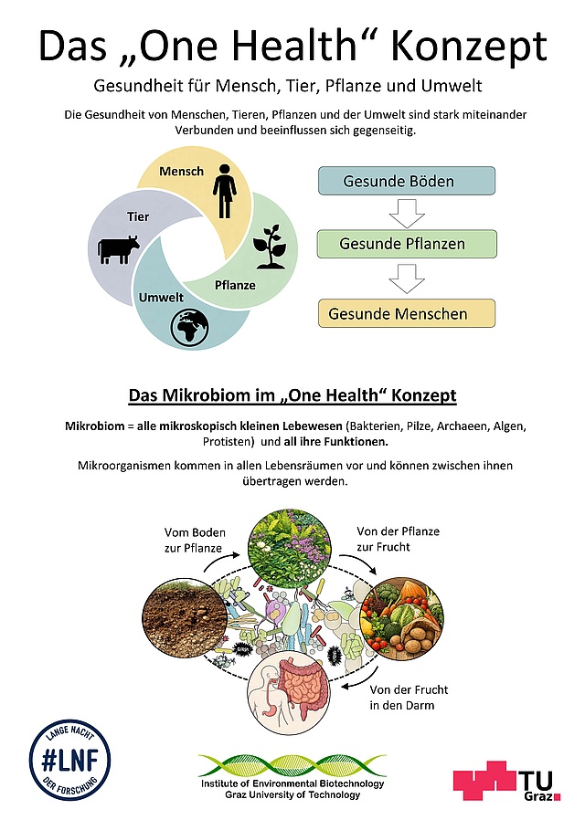 Poster vom "One Health" Konzept, mit Illustrationen  mit folgendem Text: Das Mikrobiom im "One Health" Konzept Mikrobiom=alle mikroskopisch kleinen Lebewesen (Bakterien, Pilze, Archaeen, Algen, Protisten) und all ihre Funktionen. Mikroorgansimen kommen in allen Lebensräumen vor und können zwischen ihnen übertragen werden. Vom Boden zur Pflanze, von der Pflanze zur Furcht, von der Frucht in den Darm