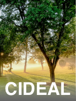 Ein nebliger Morgen in einem sonnenbeschienenen Waldstück. In der unteren Bildmitte befindet sich der Schriftzug "CIDEAL" in weißen Großbuchstaben.