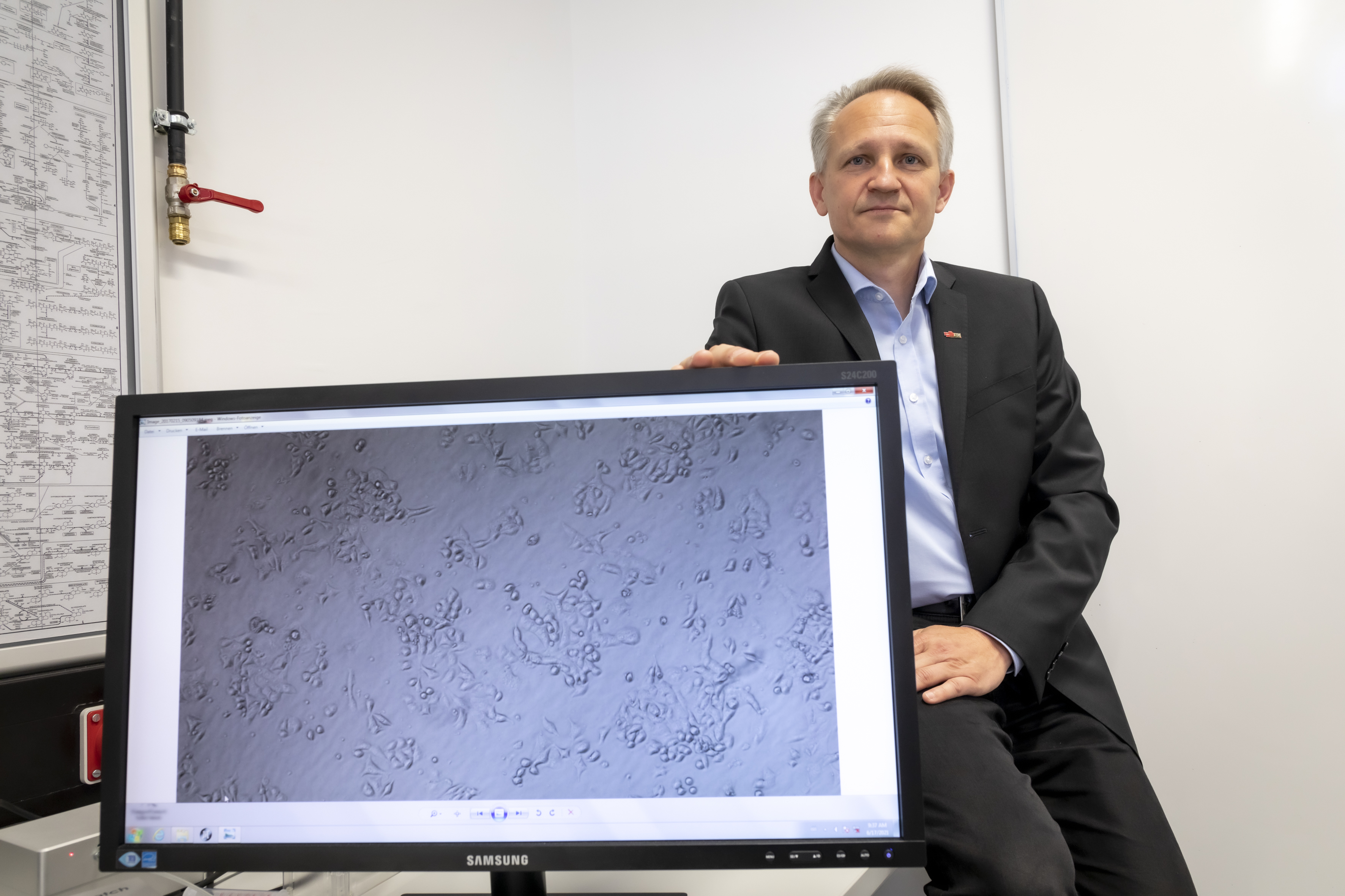 Ein Mann lehnt seitlich hinter einem Monitor an einem Schreibtisch. Er blickt in die Kamera. Auf dem Monitor ist ein Bild zu sehen, auf dem Zellen unter einem Mikroskop dargestellt sind.