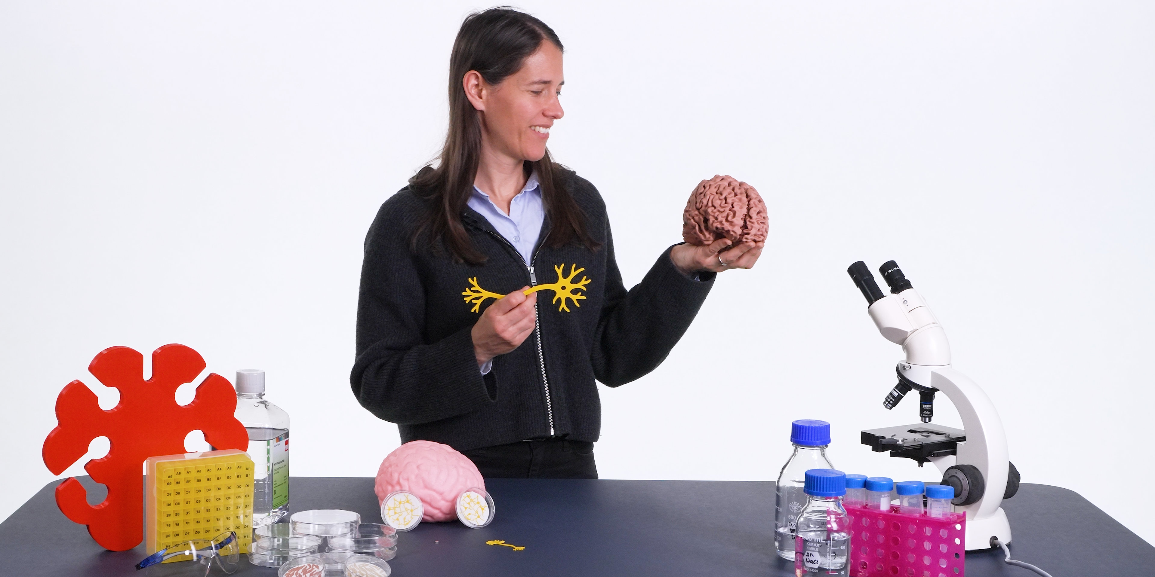 A woman is standing at a table, holding a brain and a nerve cell in her hand.