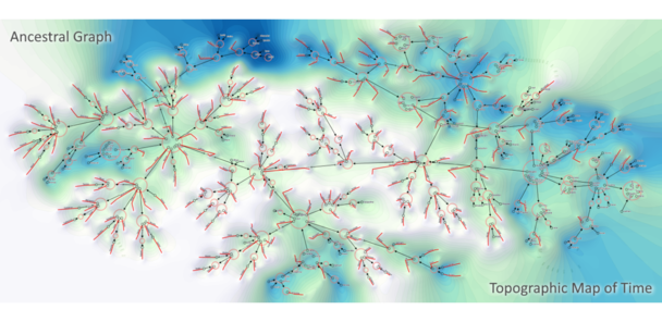 Visualizing Large Temporal Networks