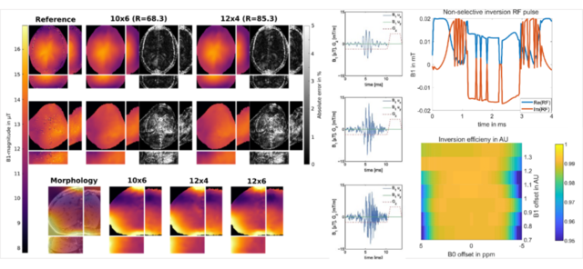 In-vivo Field Mapping