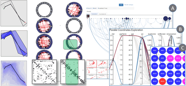 Visual Analytics and Digital Libraries