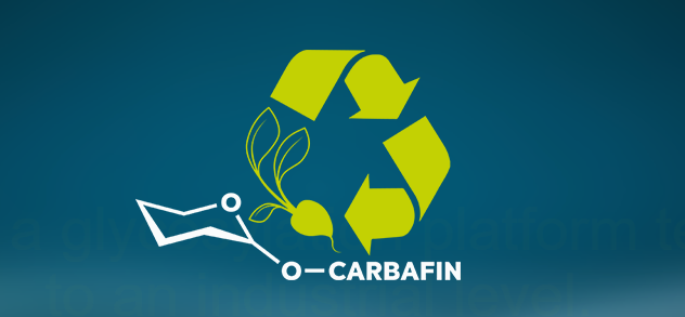 Carbafin - EU Project